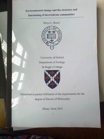 thesis from oxford university